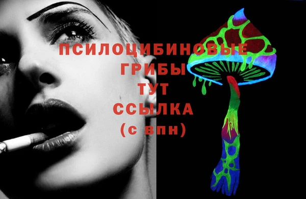 твердый Арсеньев