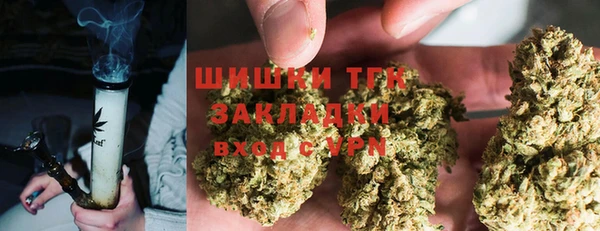 твердый Арсеньев