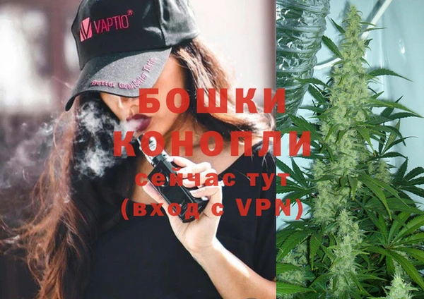 спиды Аркадак