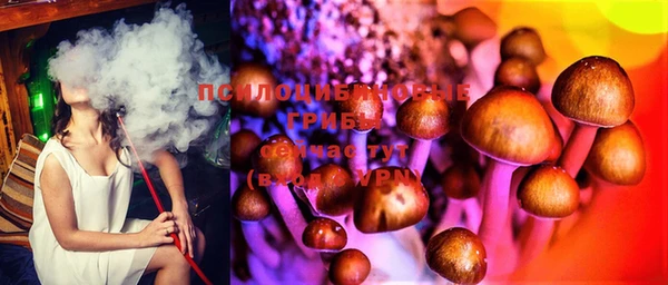 спиды Аркадак