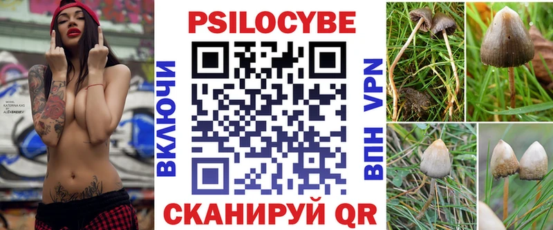 МЕГА маркетплейс  Гурьевск  Галлюциногенные грибы Cubensis 